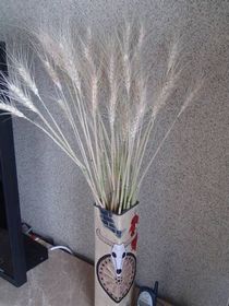擺設飾品